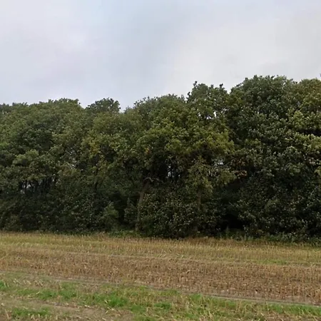 Holiday home 5 Star In Hovborg-by Traum Hovborg